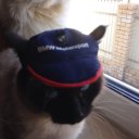 Татьяна Добродей (Антонова)