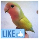 Оля Манаенкова