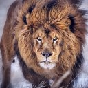 Арина Захарова