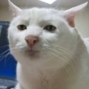 Иван Сочнев