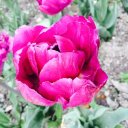 Юля Байбарак