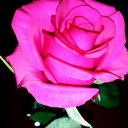 Екатерина Илянкина