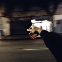 Оля Акимова