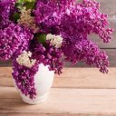 Кристина Кузнецова