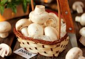 Как правильно чистить шампиньоны