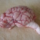 Мозги бараньи