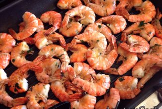 Тигровые креветки