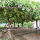 Поездка на Кипр