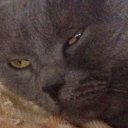 Серёга Ионов