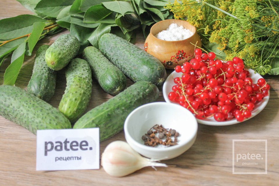 Маринованные огурцы с красной смородиной - Шаг 1