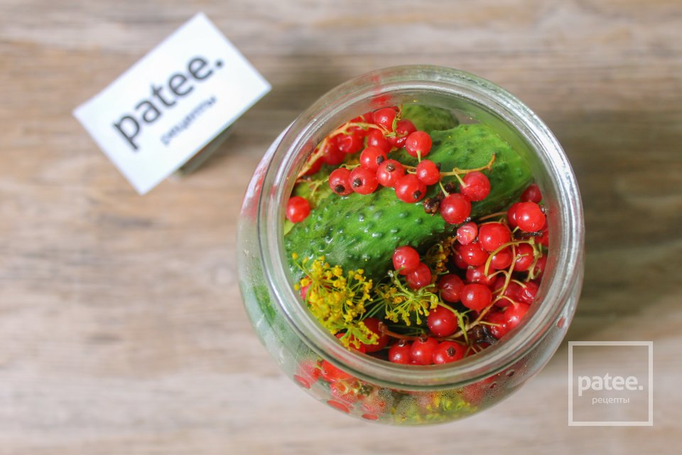 Маринованные огурцы с красной смородиной - Шаг 12