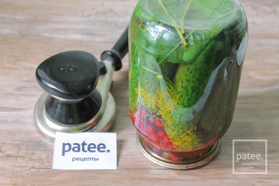 Маринованные огурцы с красной смородиной - Шаг 13