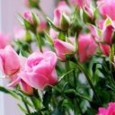 Бахыт Ерденбекова