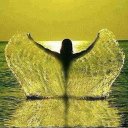 Иван Зарицкий