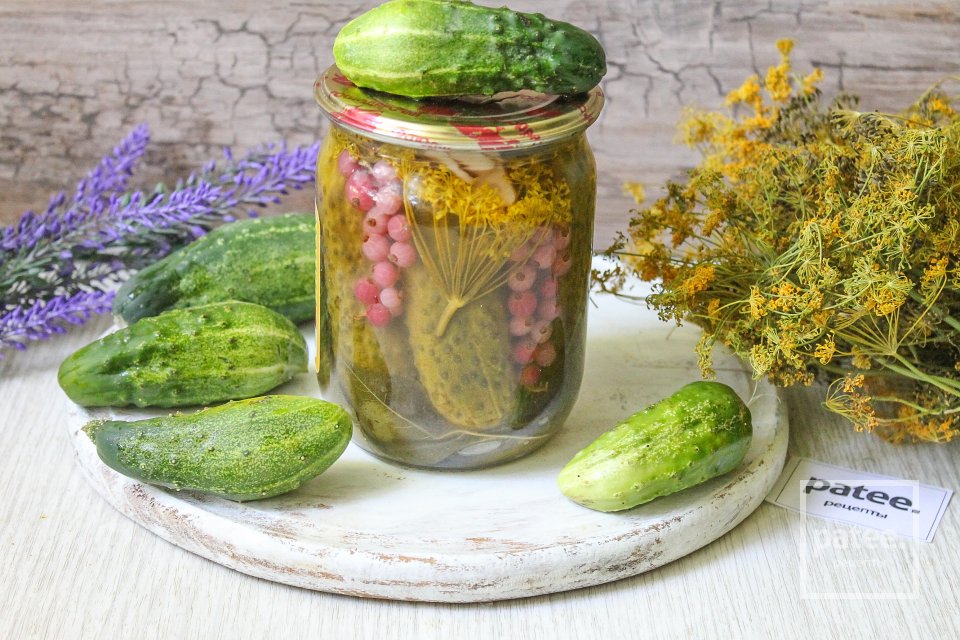 Маринованные огурцы с красной смородиной - Шаг 14