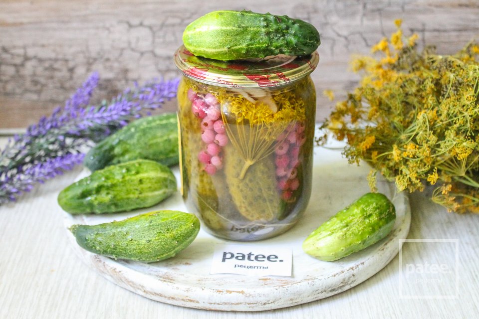 Маринованные огурцы с красной смородиной - Шаг 15