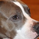 Светлана Филатова