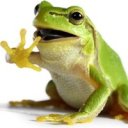 Наталья Ильичёва