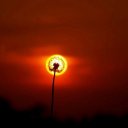 Юлия Стефанова