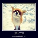 Наталья Щербакова