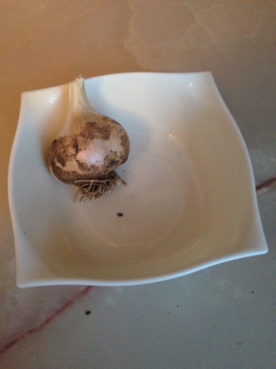 Соус чесночный для овощей - Шаг 1