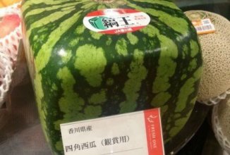 Форменный арбузик👌🏿👌🏻