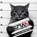 Макс Пивоваров