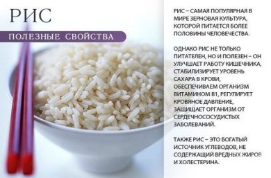 Каши : полезные свойства