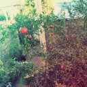 Хадиджа Магомедова