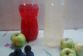 Яблочный кампот