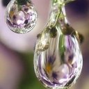 Екатерина Маркина