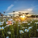 Ольга Ларионова