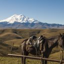 Дмитрий Аппетитов