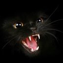 Марина Солнцева