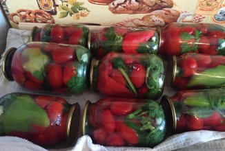 Соленные помидоры на зиму