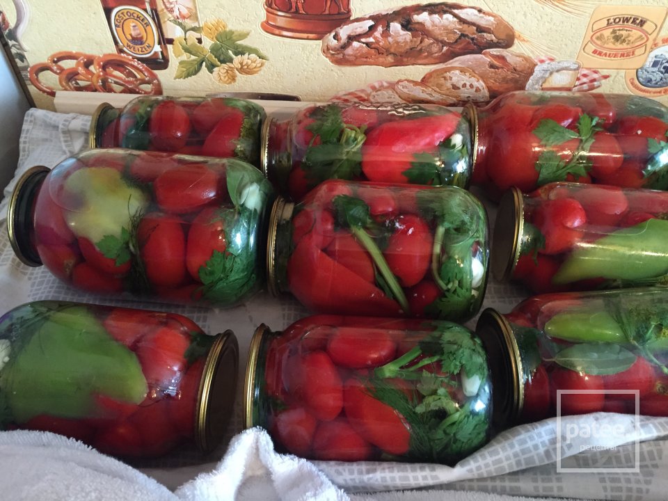 Соленные помидоры на зиму - Шаг 1