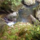 Роня Новикова