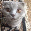 Анна Попова