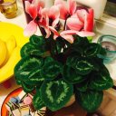 Дильдора Назарова