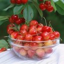 Аннета Григорьева(СКАЧКО)