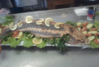 Осетр царский