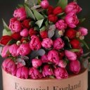 Начаева Ирина