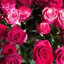 Алёна Алёна