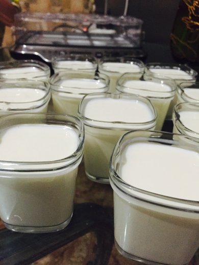 Кефир (йогурт, бифивит, симбилакт и т.п.) - Шаг 7