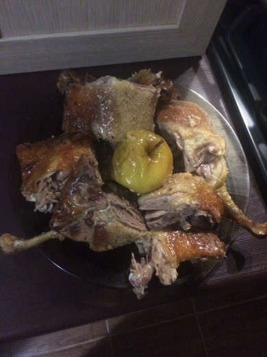 Домашняя утка