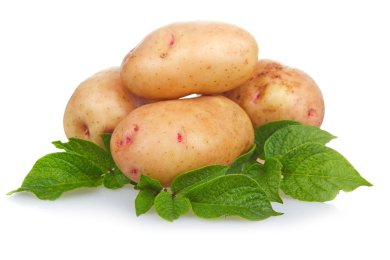 Сельдь под шубой 🐟 - приготовление