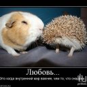 Оксана Соколова