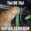 Оксана Соколова