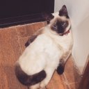 Оксаночка Стрюкова