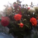 Ольга Малинина